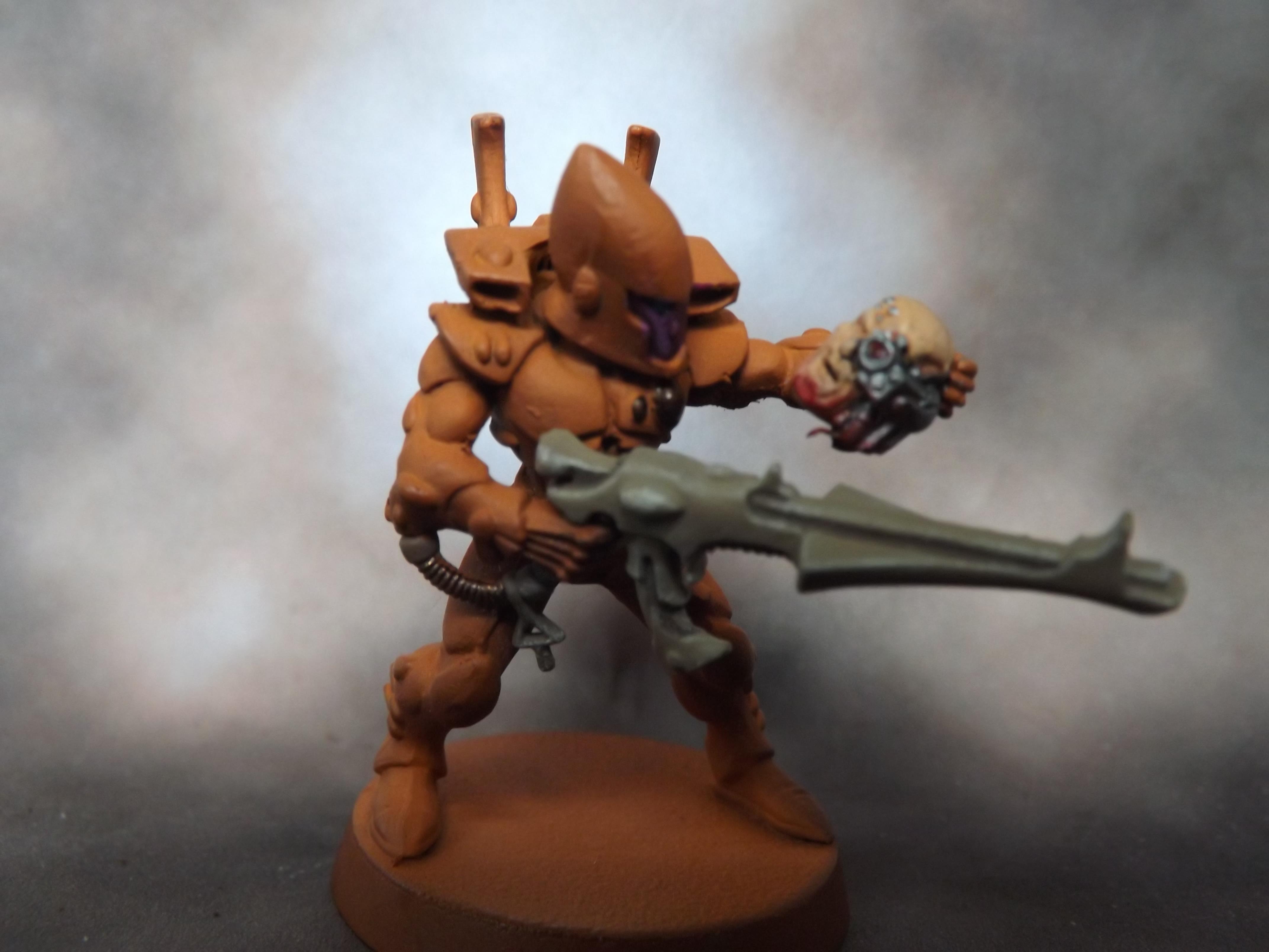 Eldar, Guardians