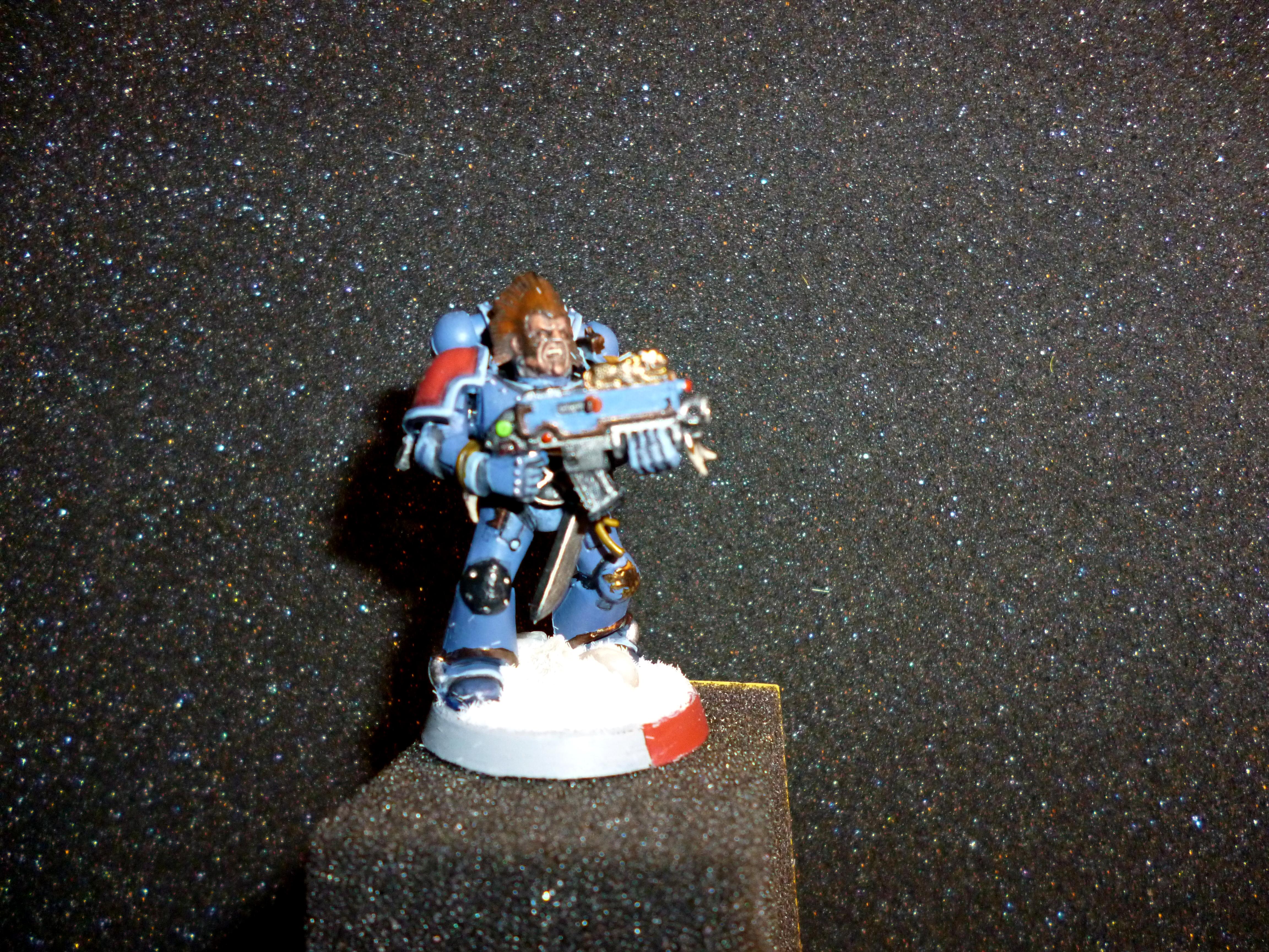 Grey Hunter, Space Wolves