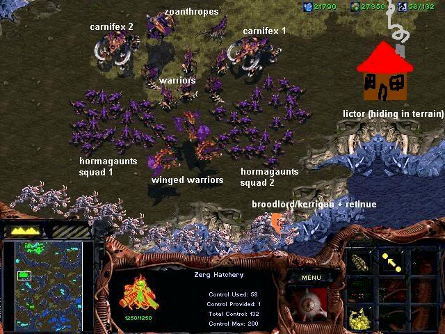 Zerg
