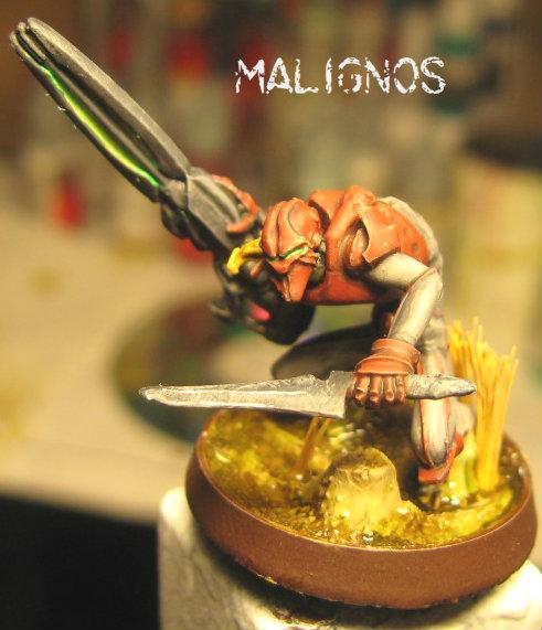 Combined Army, Infinity, Malignos, Shasvasti