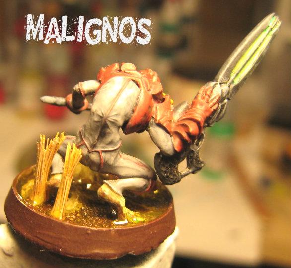 Combined Army, Infinity, Malignos, Shasvasti
