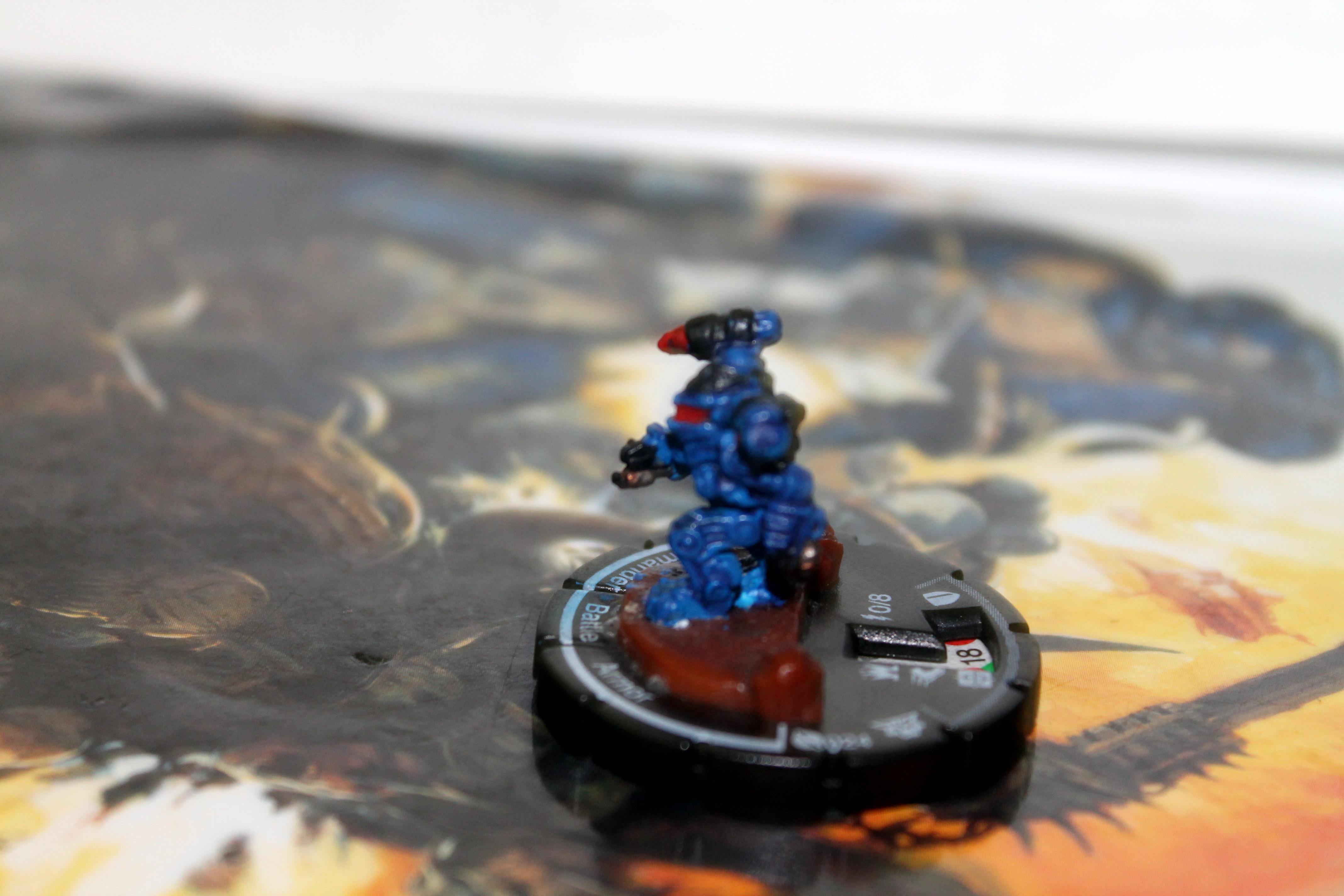 Salamander BA
