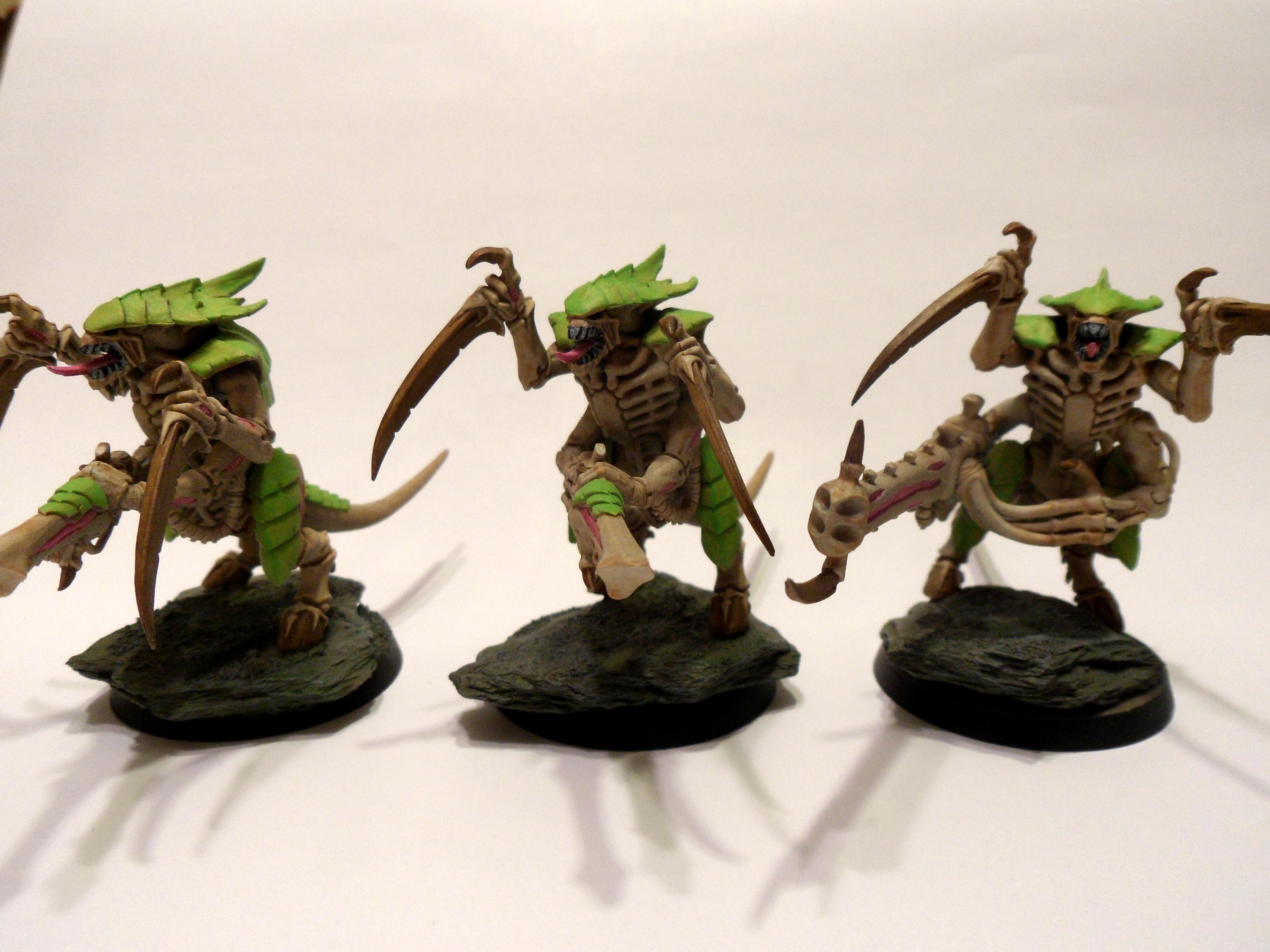 Warriors