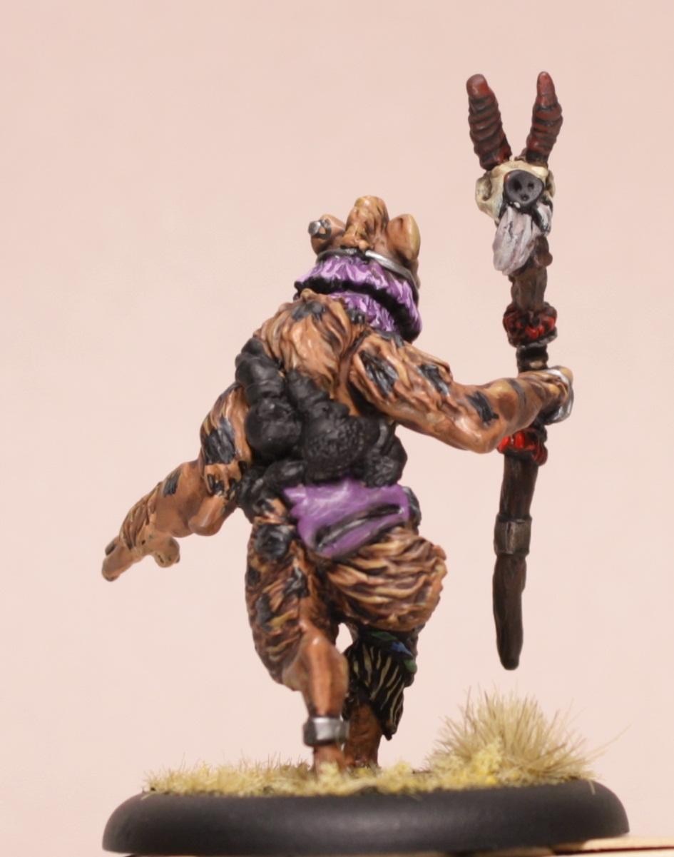 Brushfire, Hyena Witch Doctor, Warband, Work In Progress, Zabar