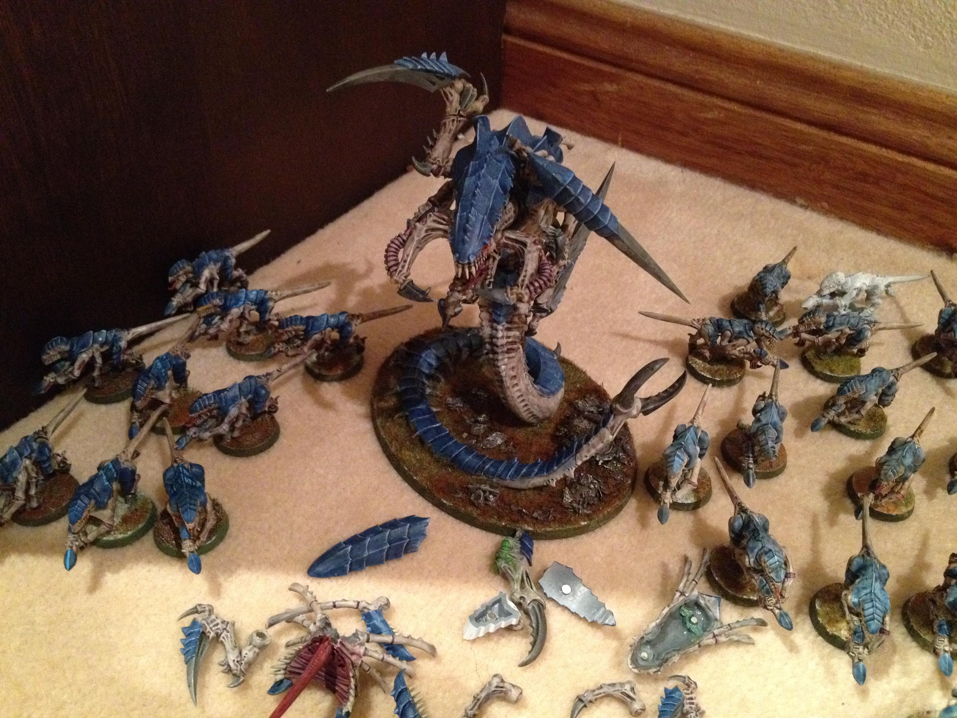 Trygon and its magnetic loadouts. 
