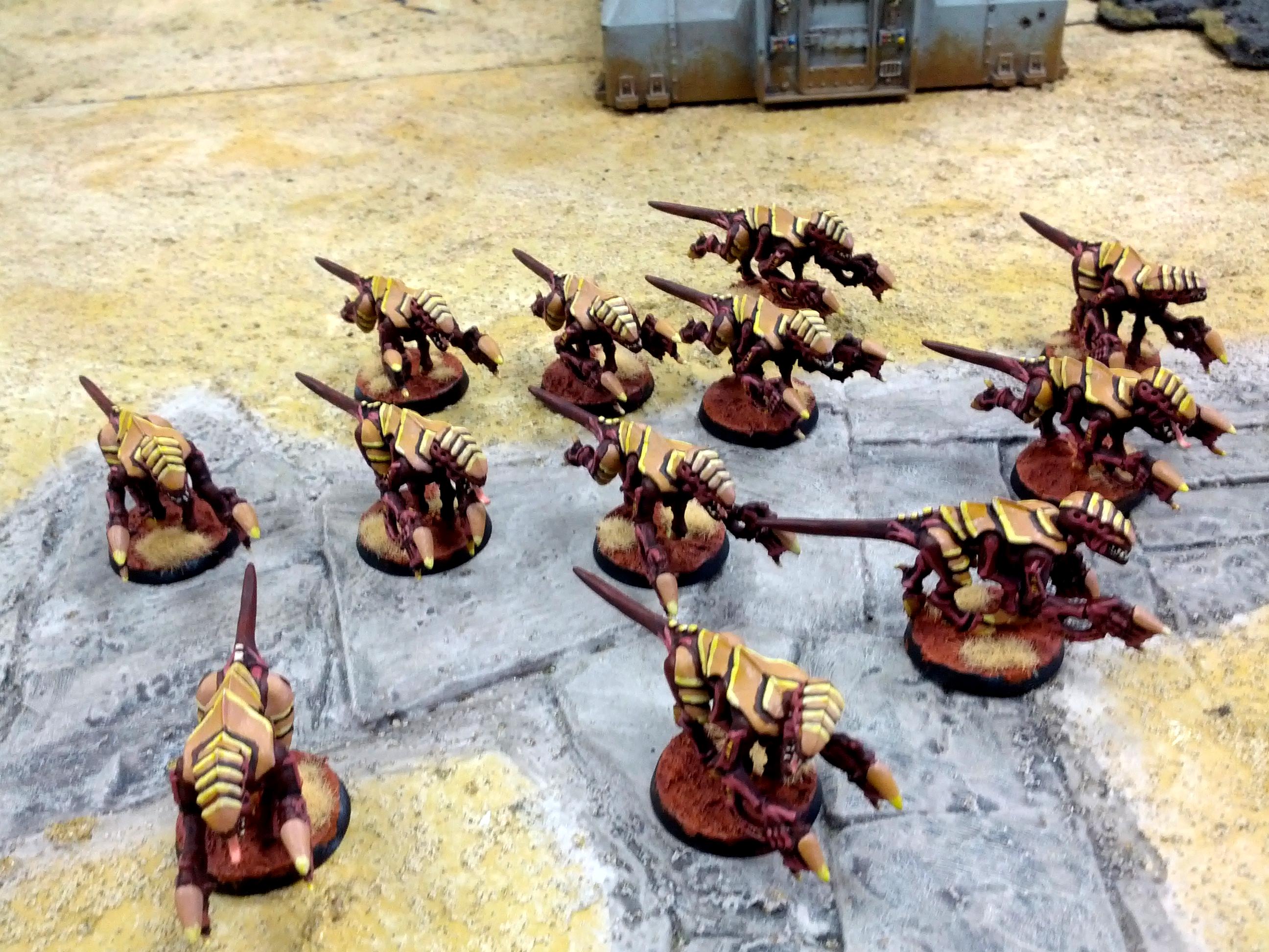 Tyranids, Termagants