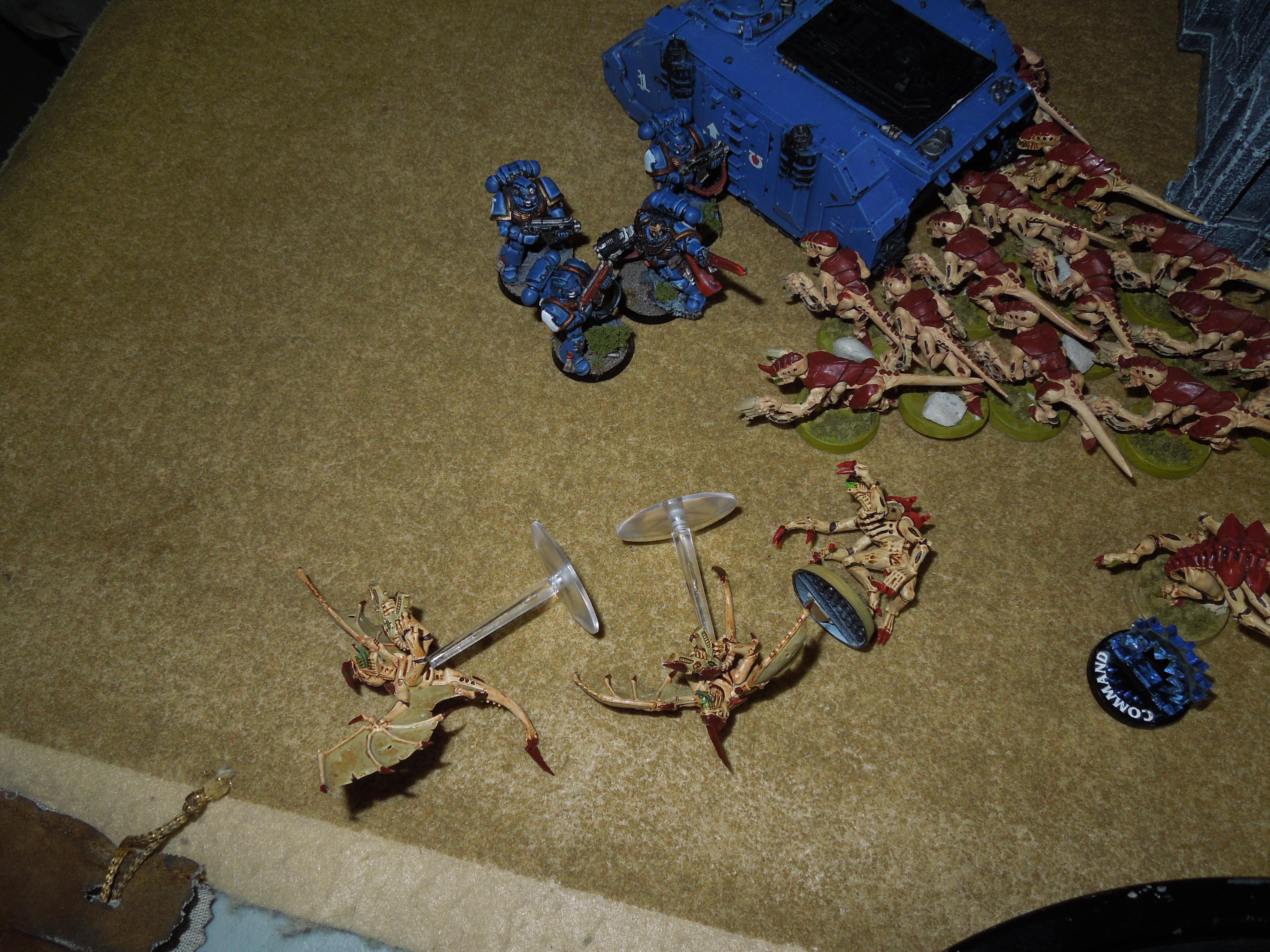 Battle Report, Space Marines, Tyranids