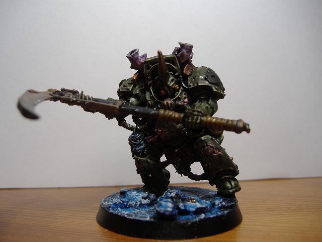 Typhus