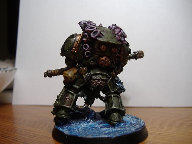 Typhus