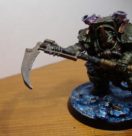 Typhus