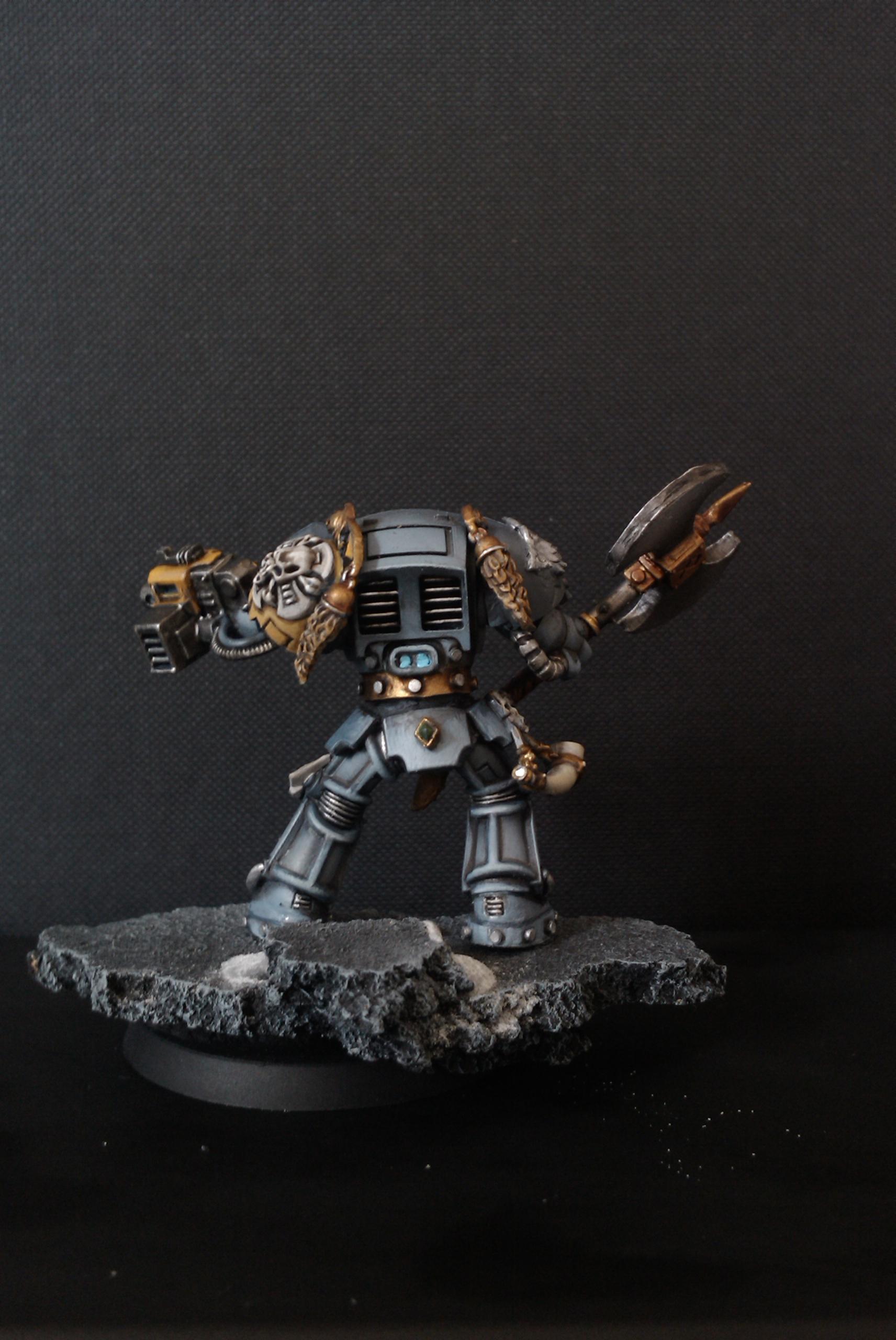 Grey Space Wolf