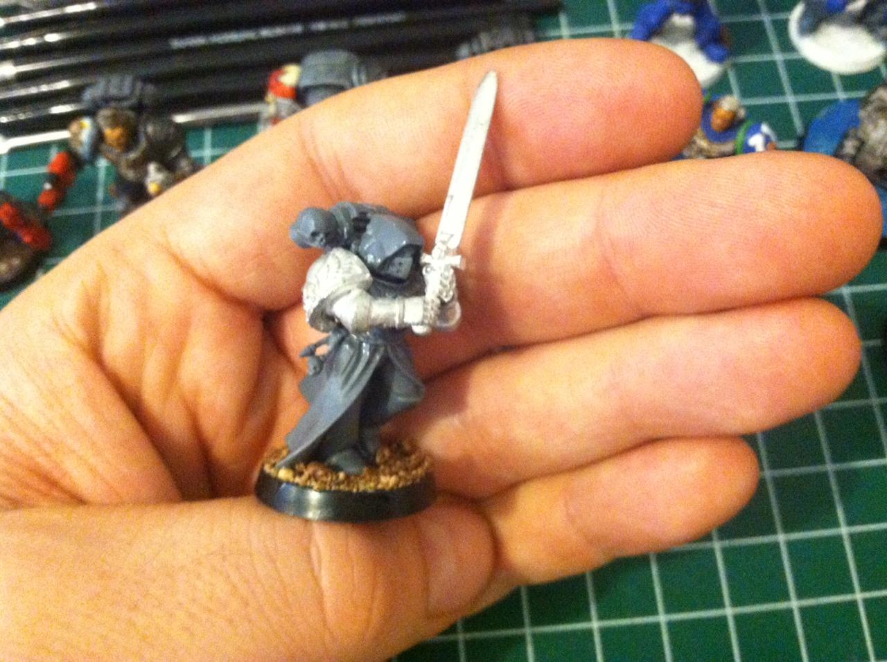Company Champion WIP