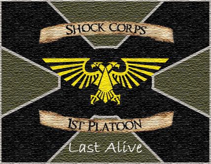 1st Platoon Standard