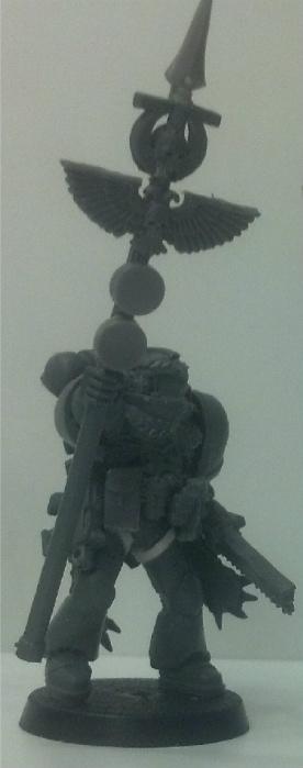 Space Marines, Standard Bearer, Tall Scale, True Scale