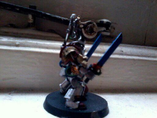 paladin with flachions