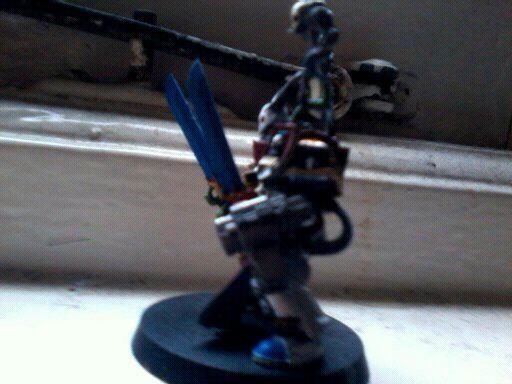 paladin with flachions