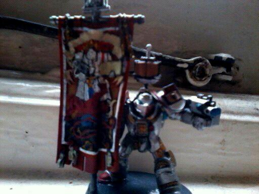 paladin with brotherhood banner