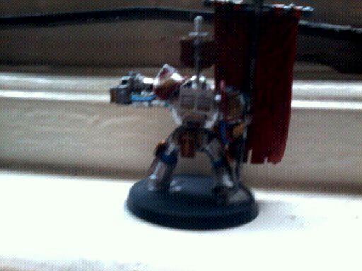 paladin with brotherhood banner