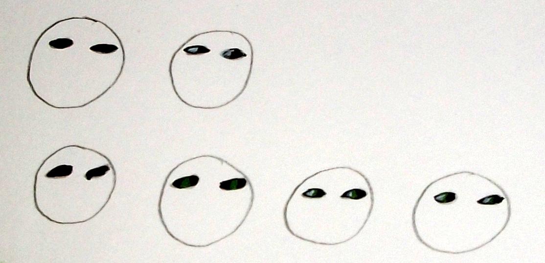 Eye Tutorial