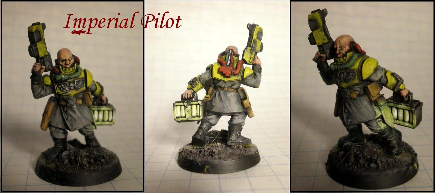 Battle For Magragge, Imperial Guard