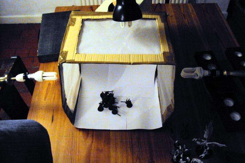 Lightbox, Photo Setup, Picture Taking