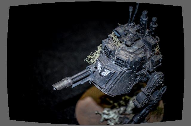 sentinel 