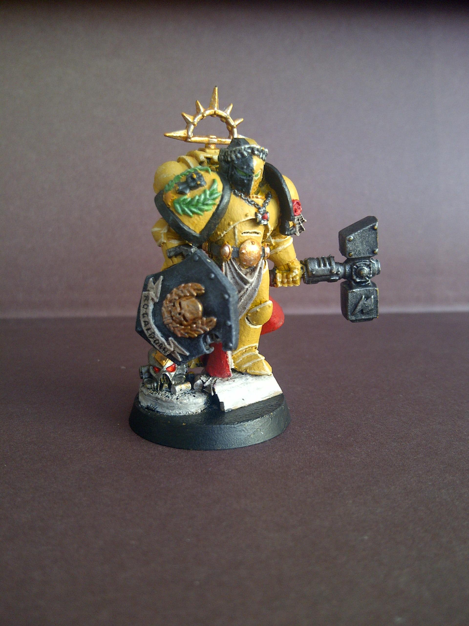 Honour Guard Chapter Champion