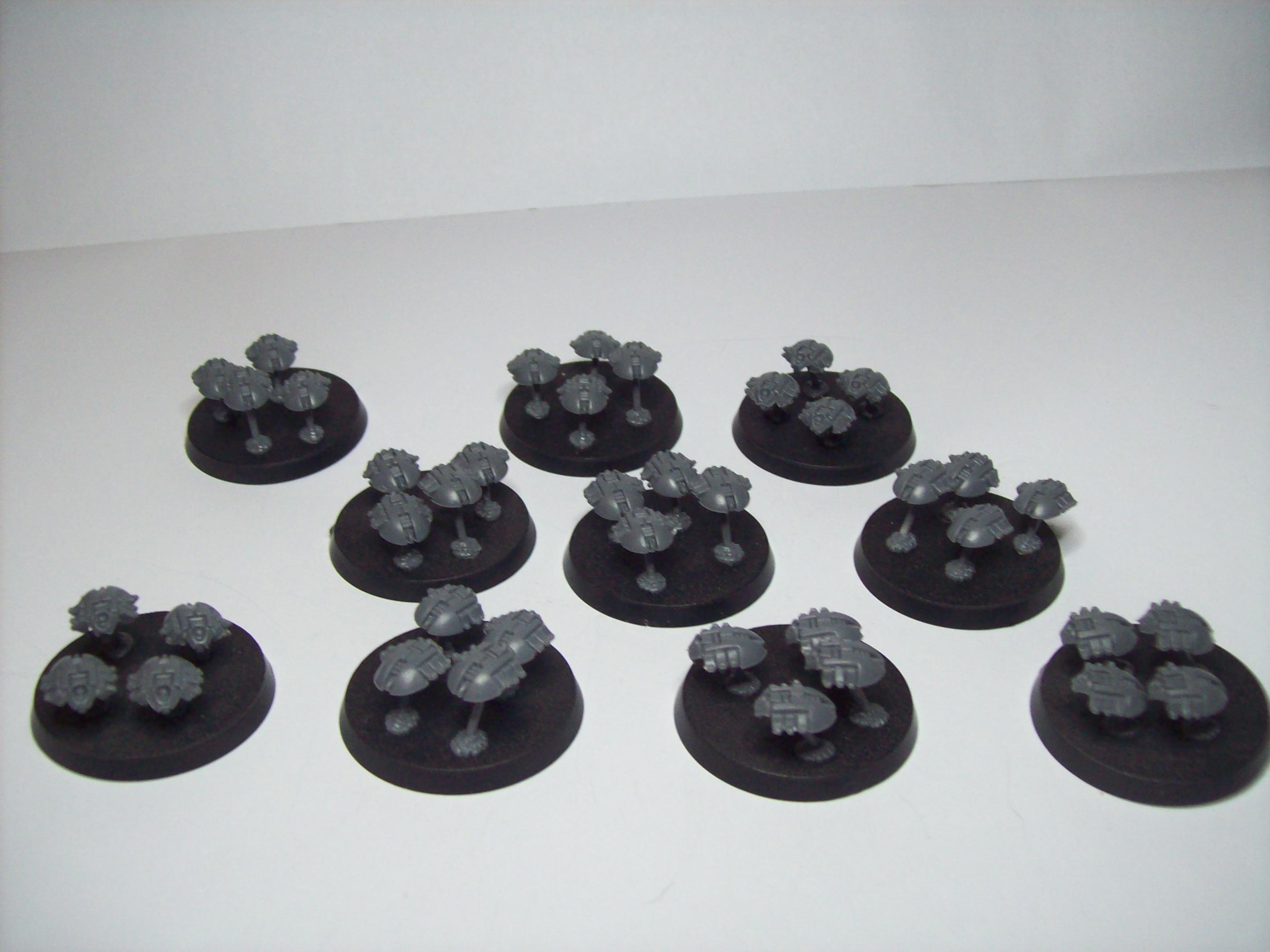 Scarabs