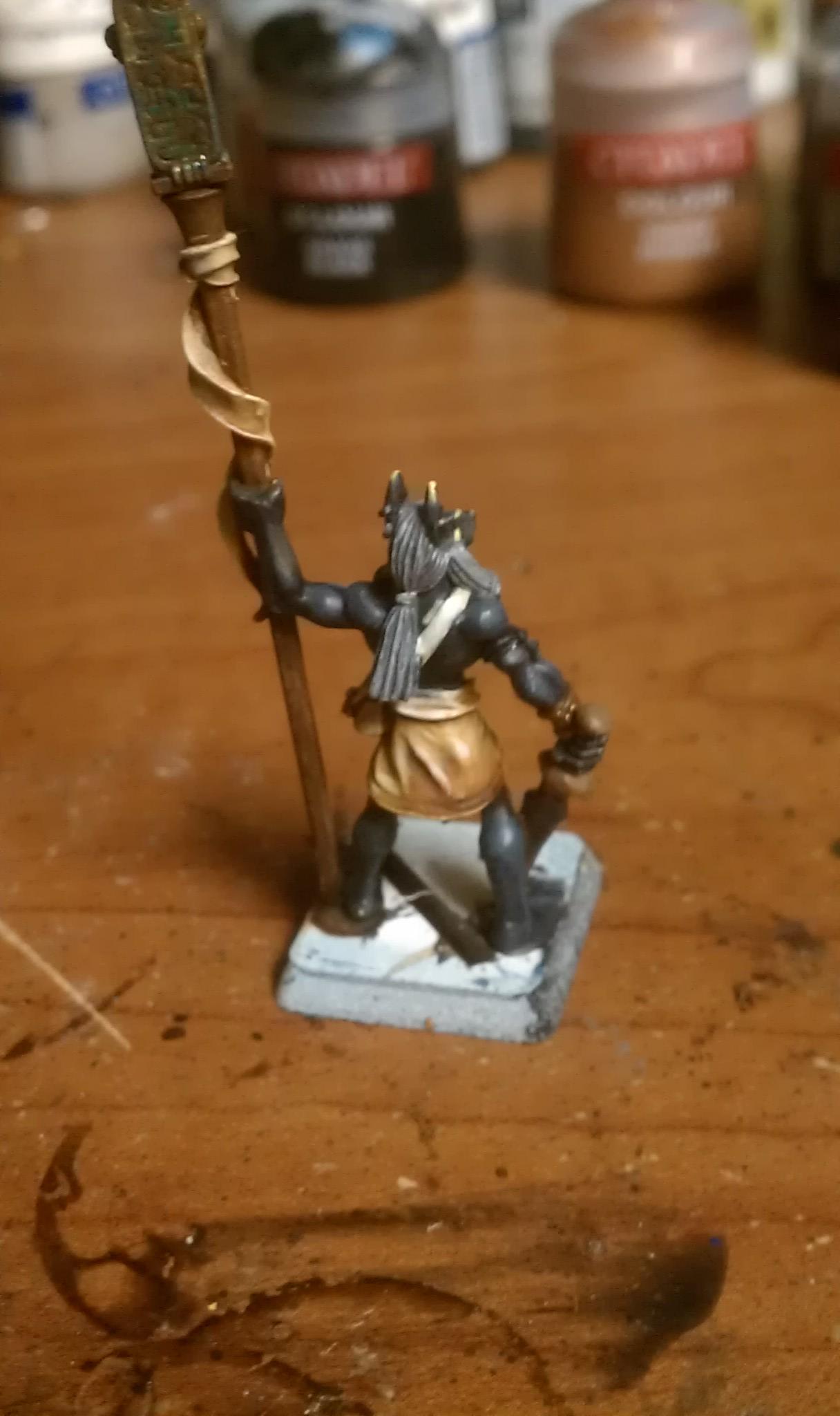 Anubi Standard Bearer Back