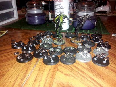 ctan shards and scarabs