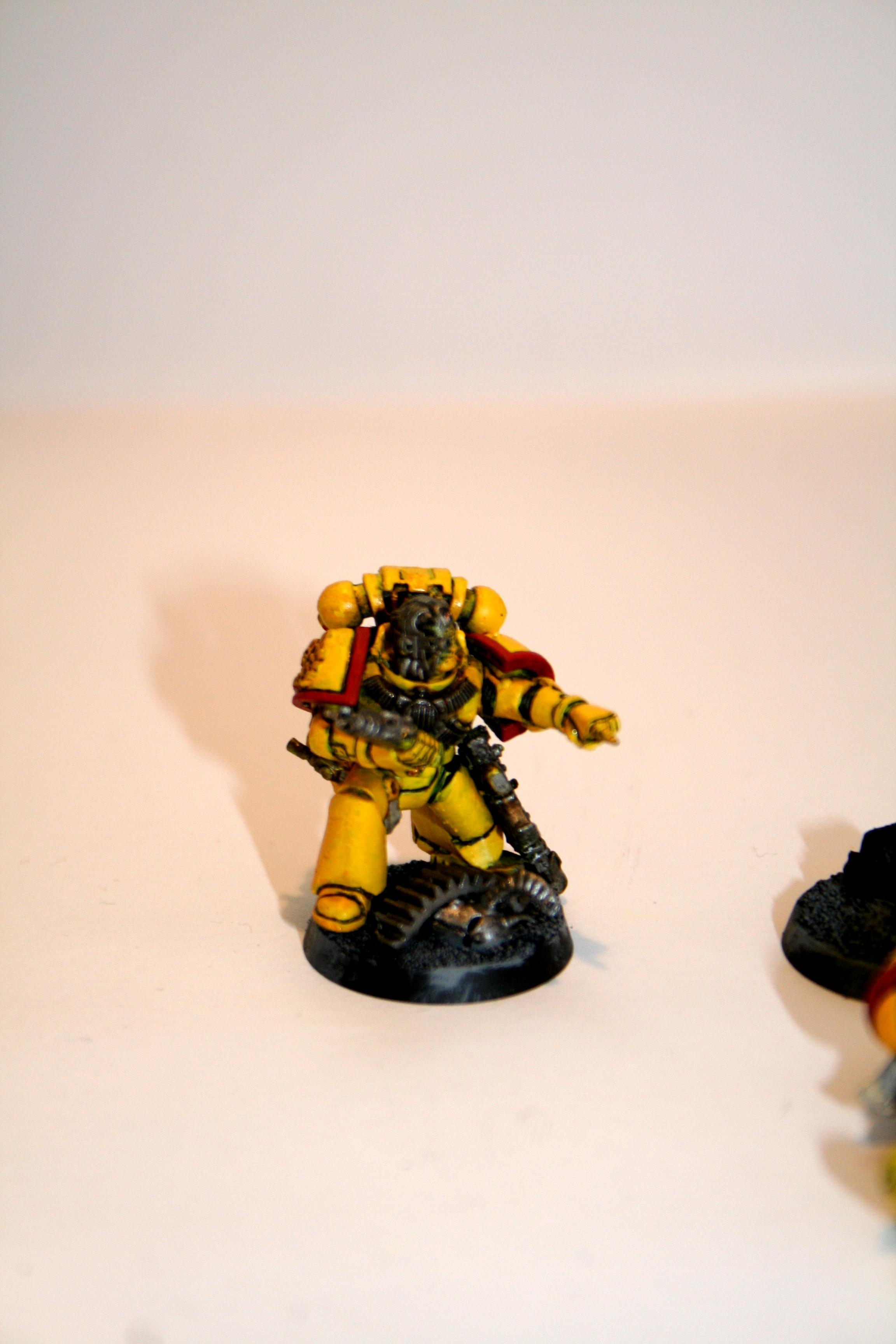 Imperial Fists, Space Marines