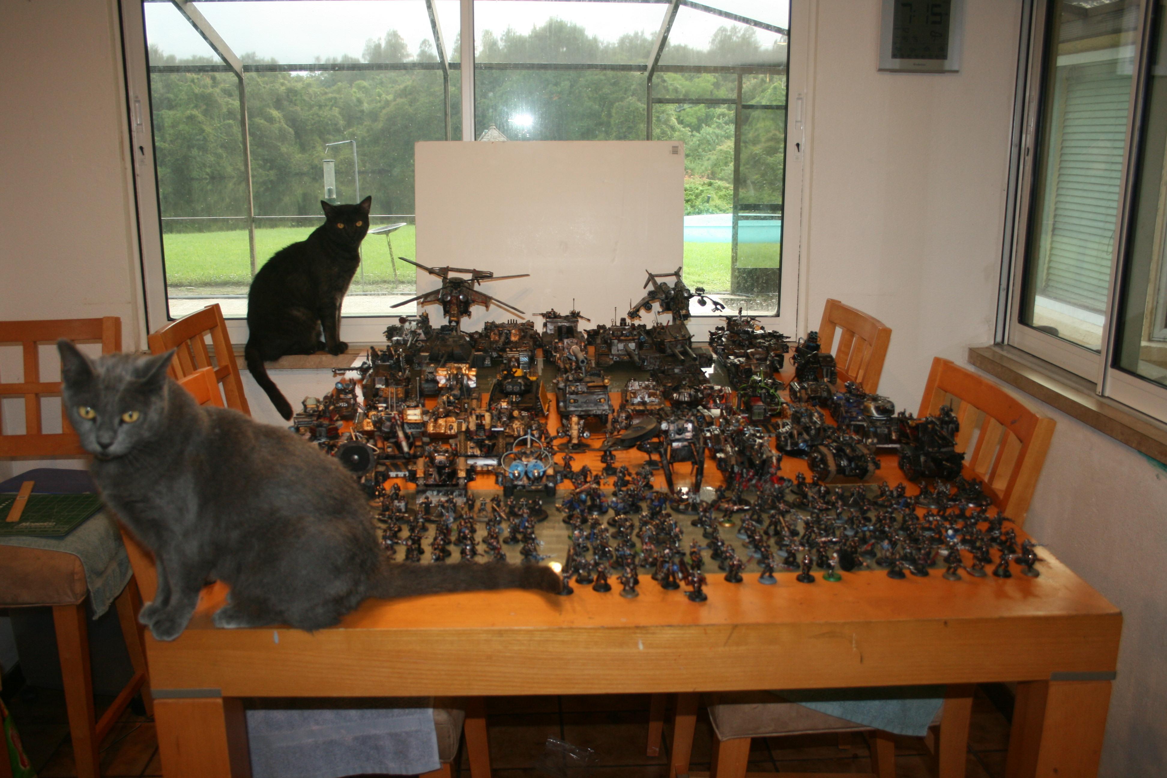 Full army plus cats