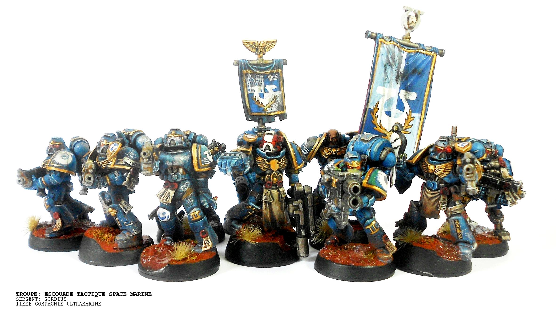 Command, Squad, Standard, Ultramarines, Veteran