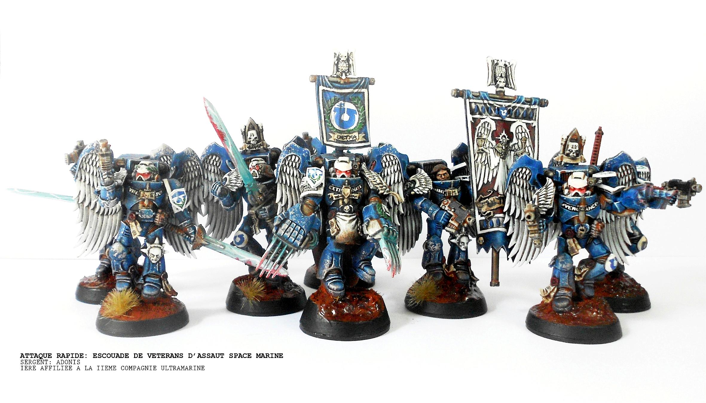Assault Marines, Banner, Sanguinary Guard, Space Marines, Ultramarines, Winged