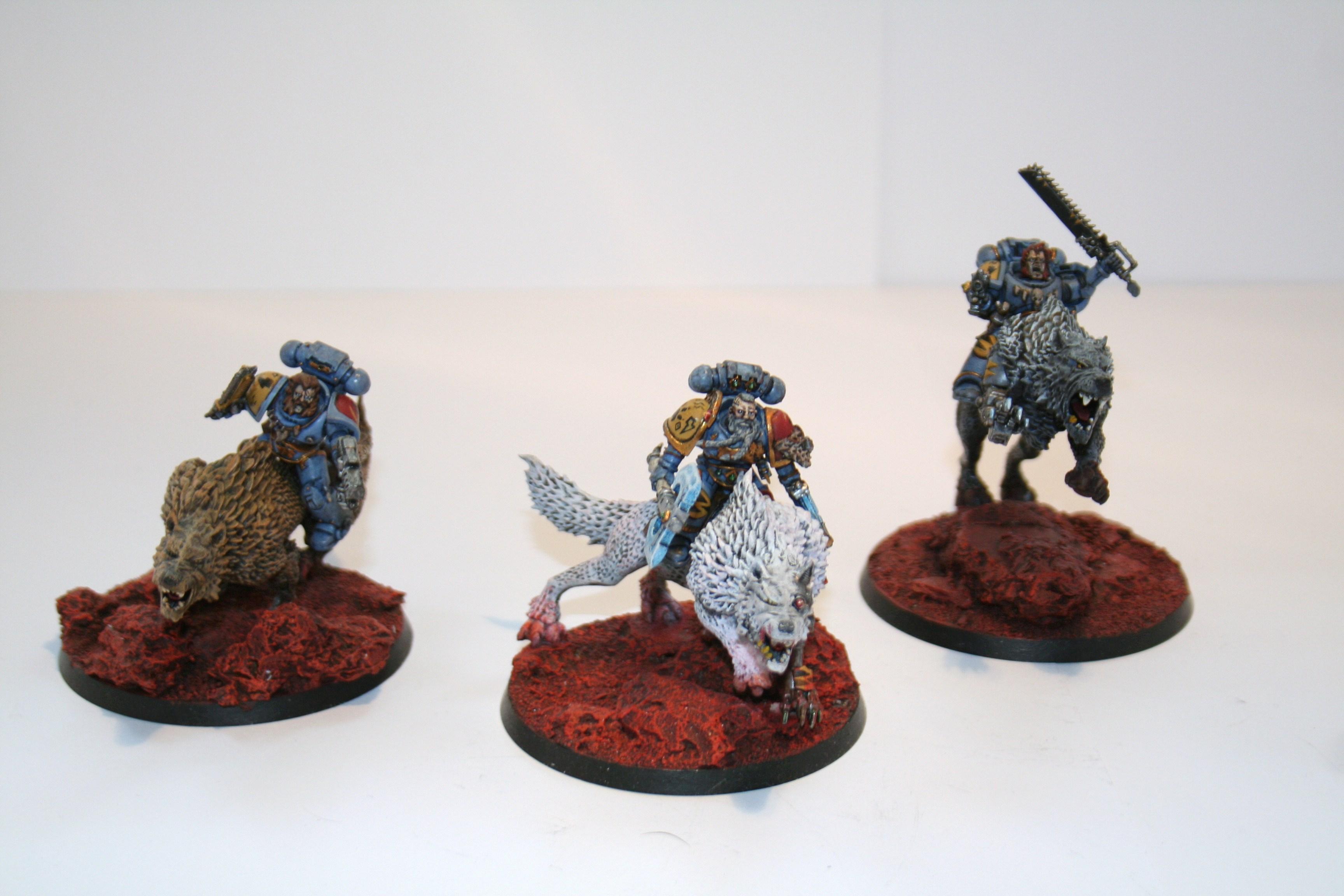 Space Wolves, Thunder wolves pack