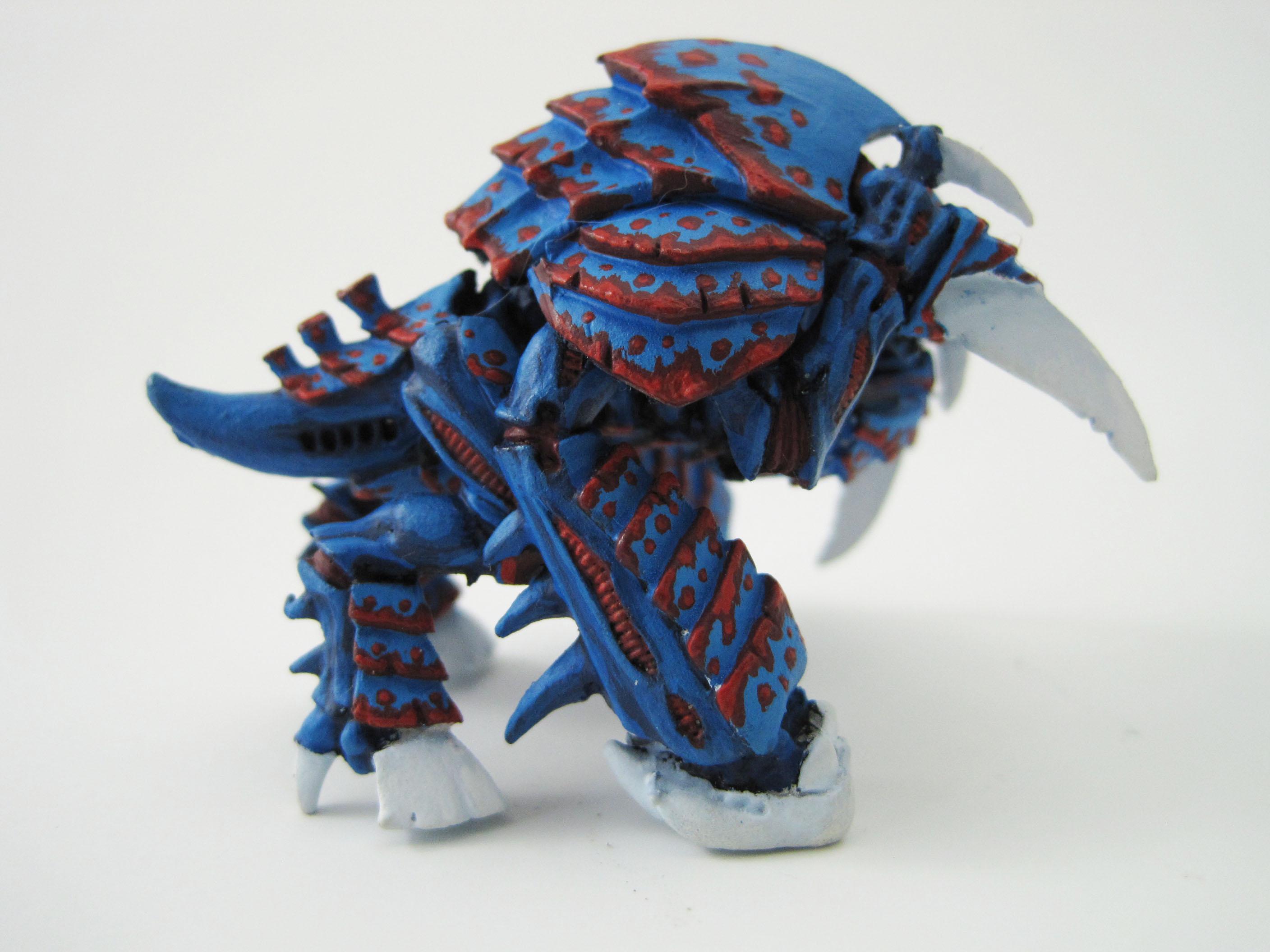 Blue, Guard, Kyogre, Red Carapace, Red Spots, Spot, Tyranids, Tyrant Guard, White Claws