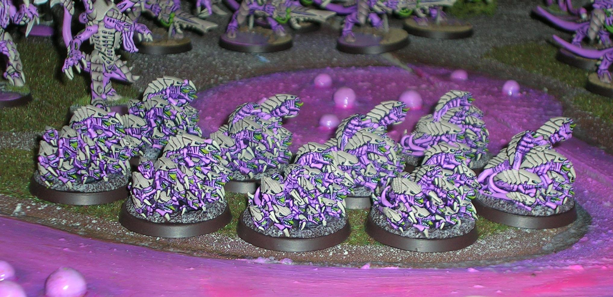 Ripper, Ripper Swarm, Tyranids