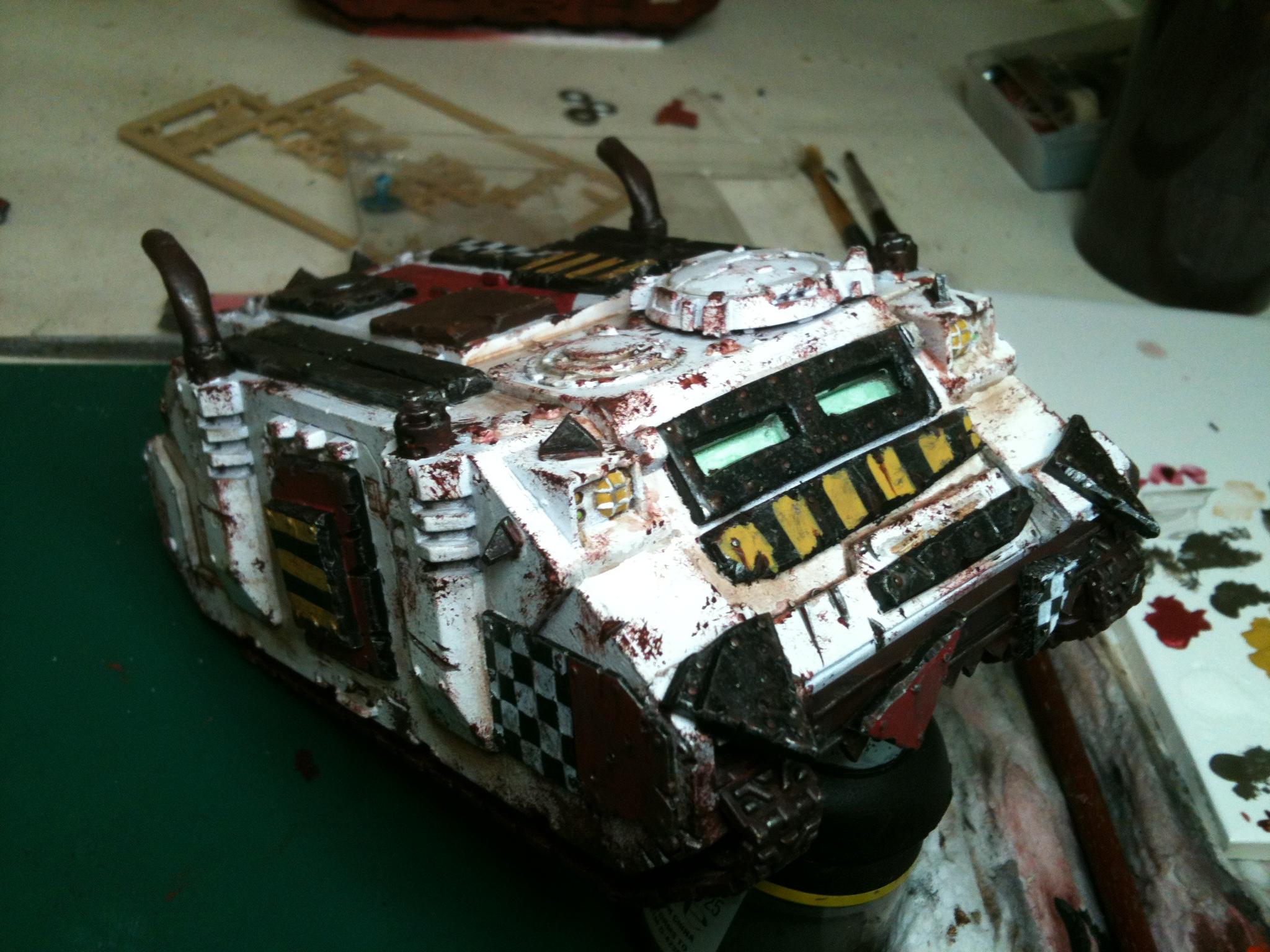 looted rhino