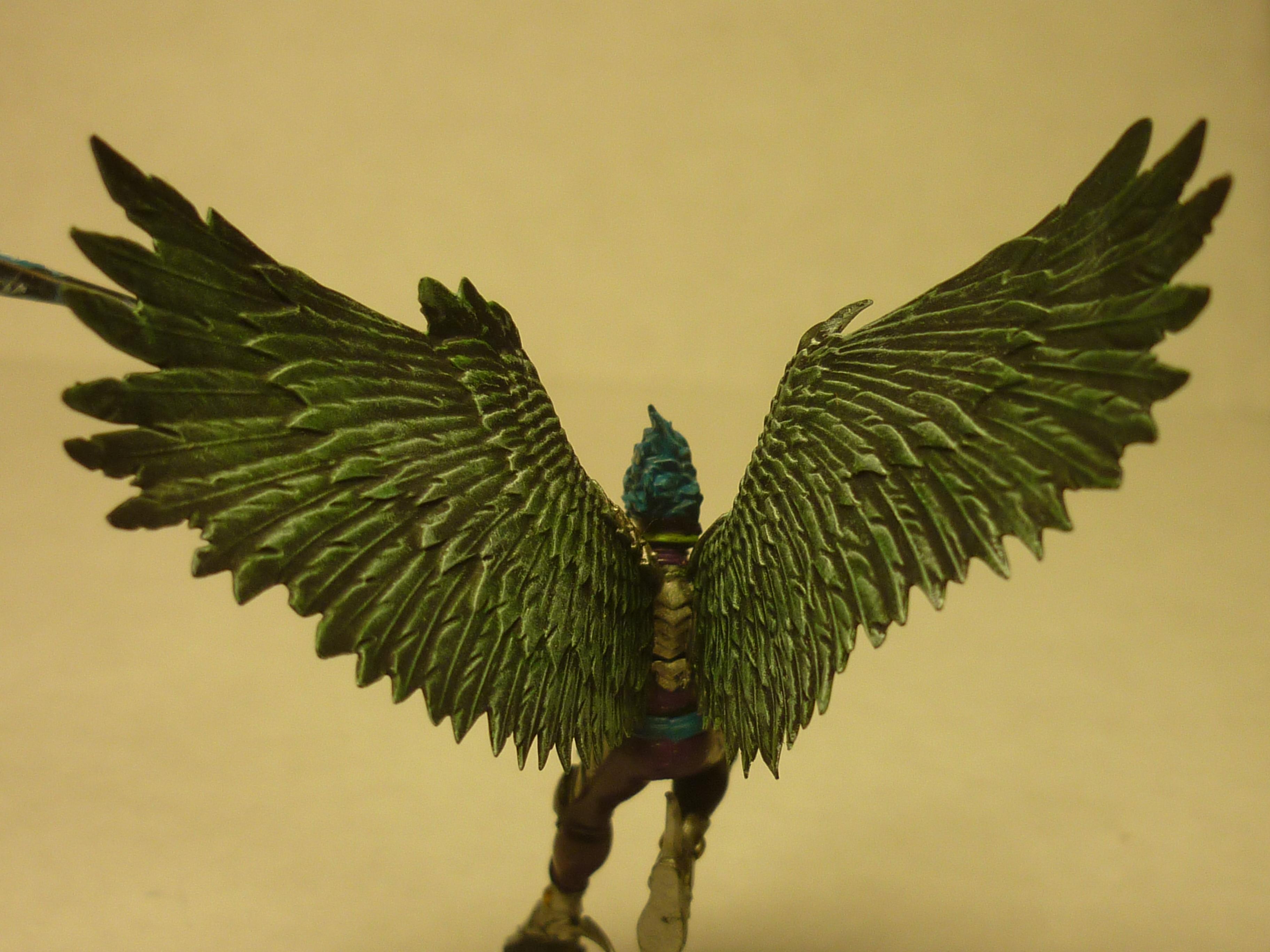 Dark Eldar, De, Scourge