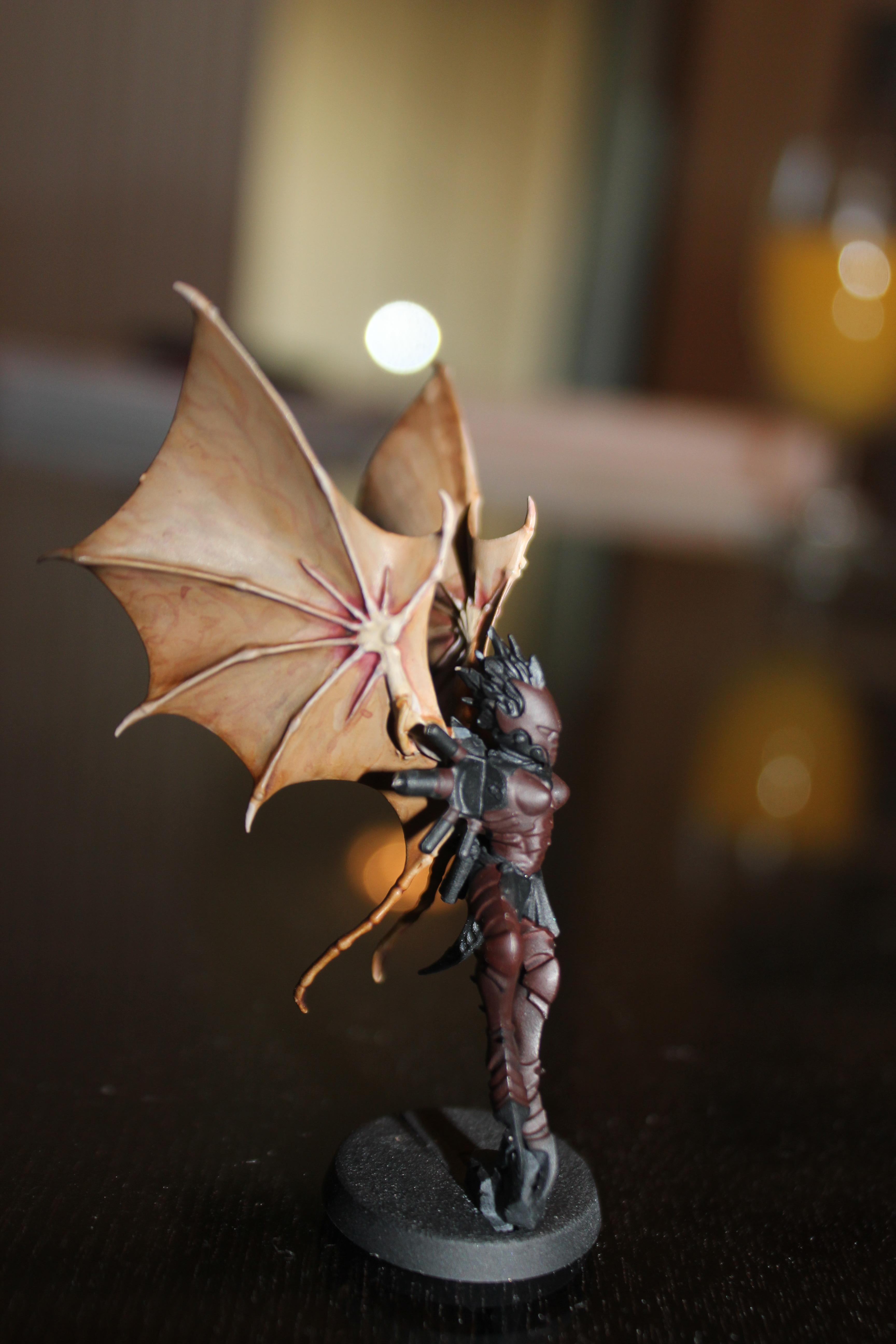 Dark Eldar, unfinished scourge
