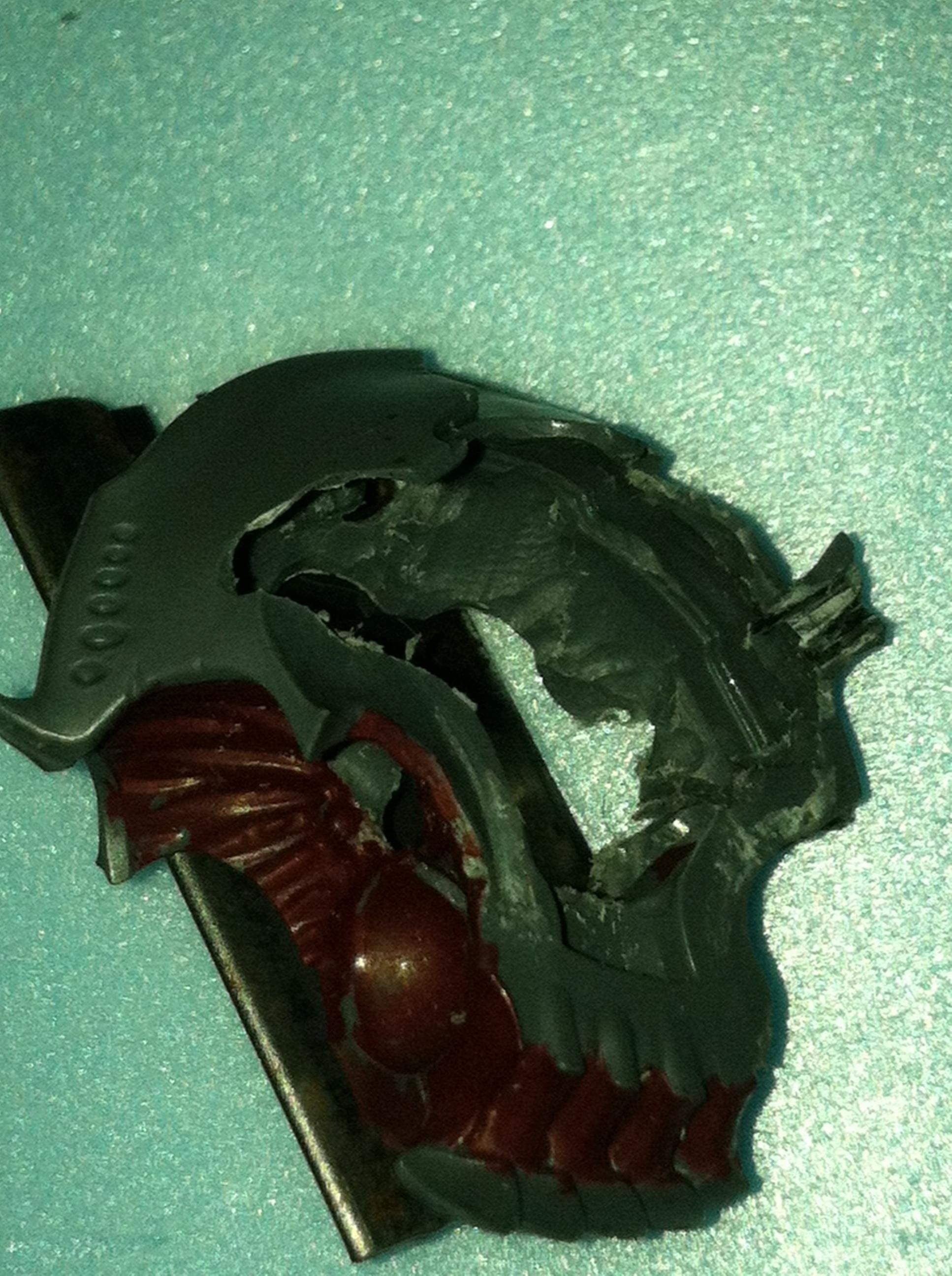 Closeup of gutted inner torso- much more room to stretch out