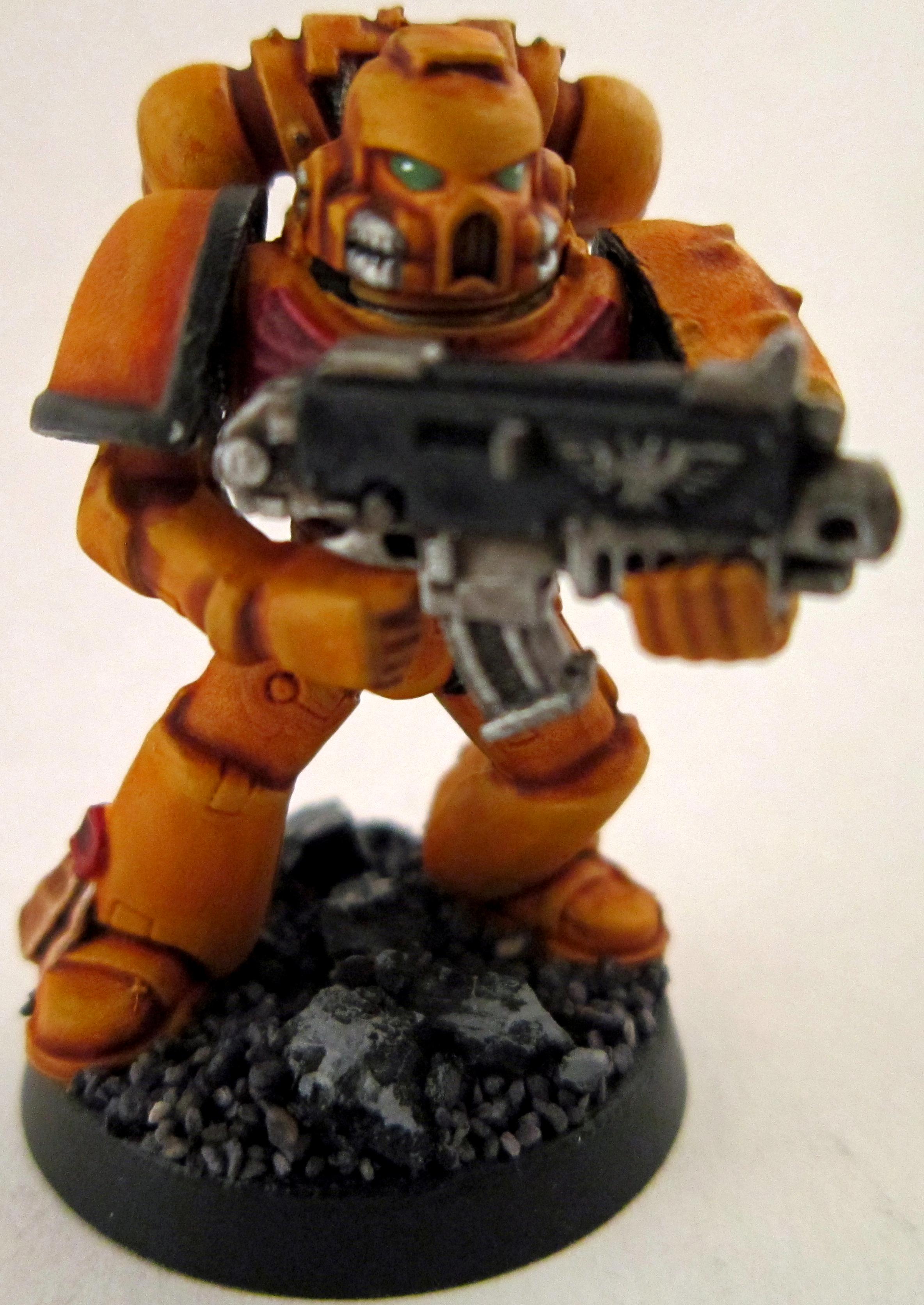 Imperial Fists, Space Marines, Tactical Squad