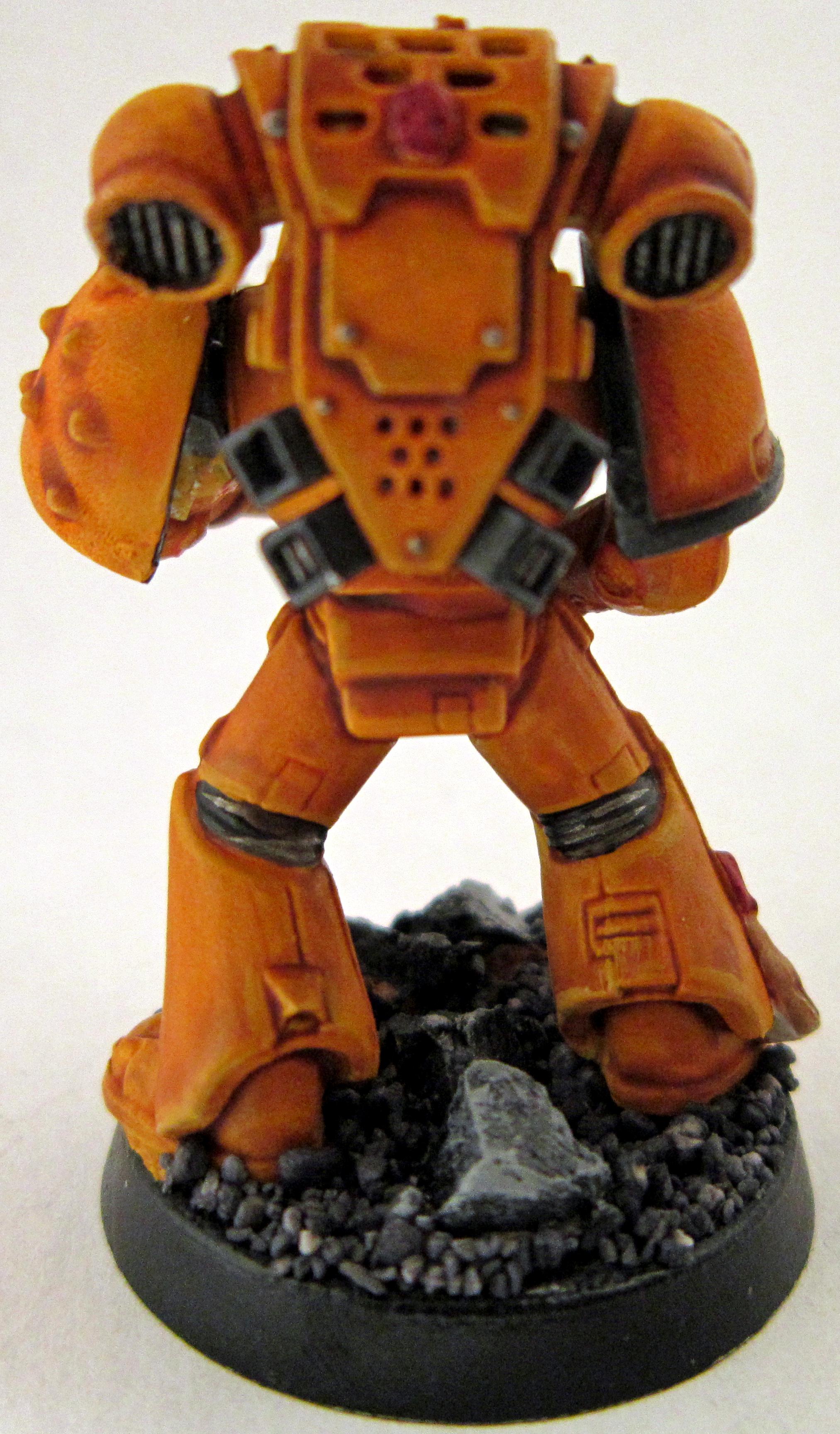 Imperial Fists, Space Marines, Tactical Squad