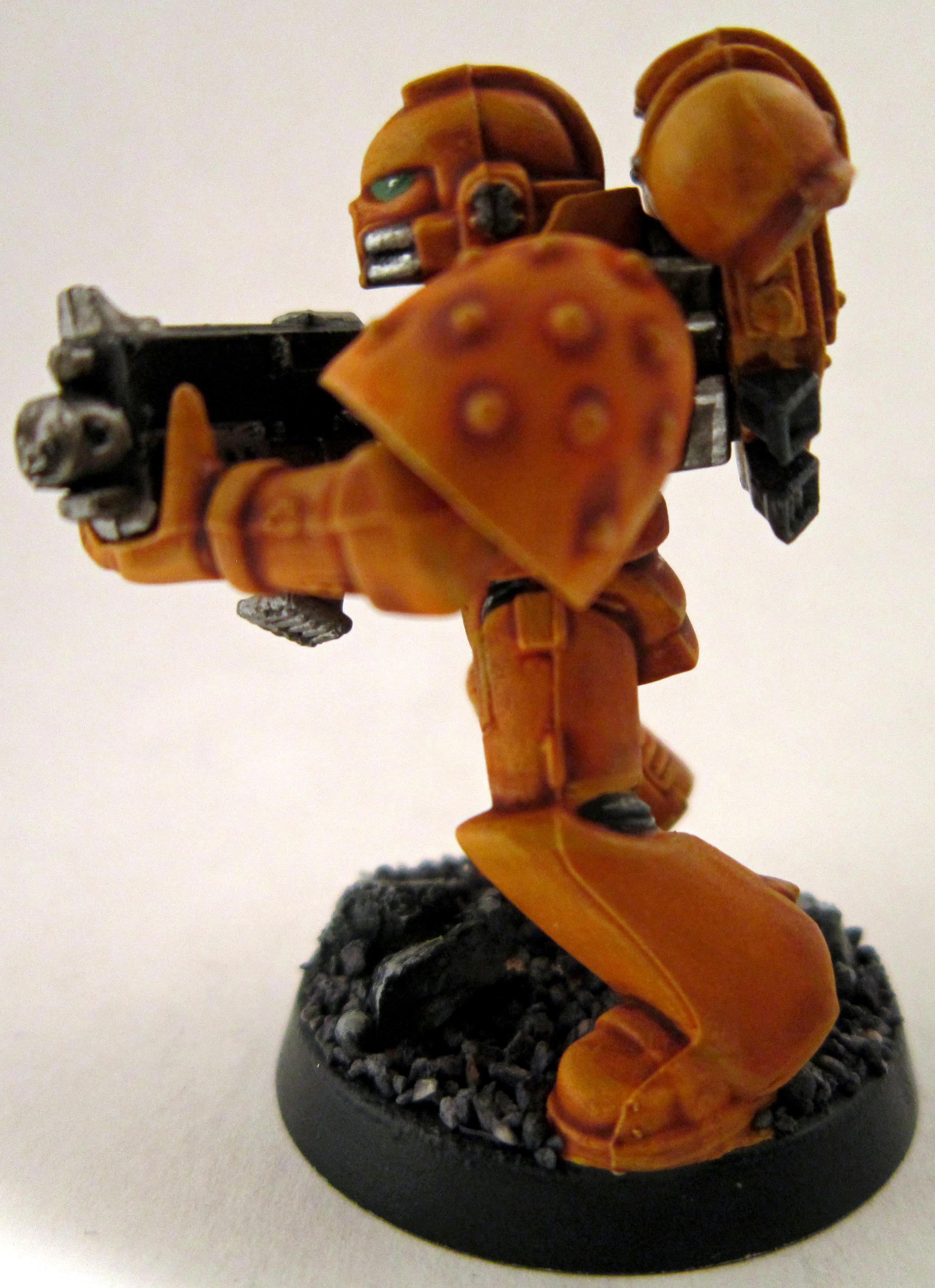 Imperial Fists, Space Marines, Tactical Squad