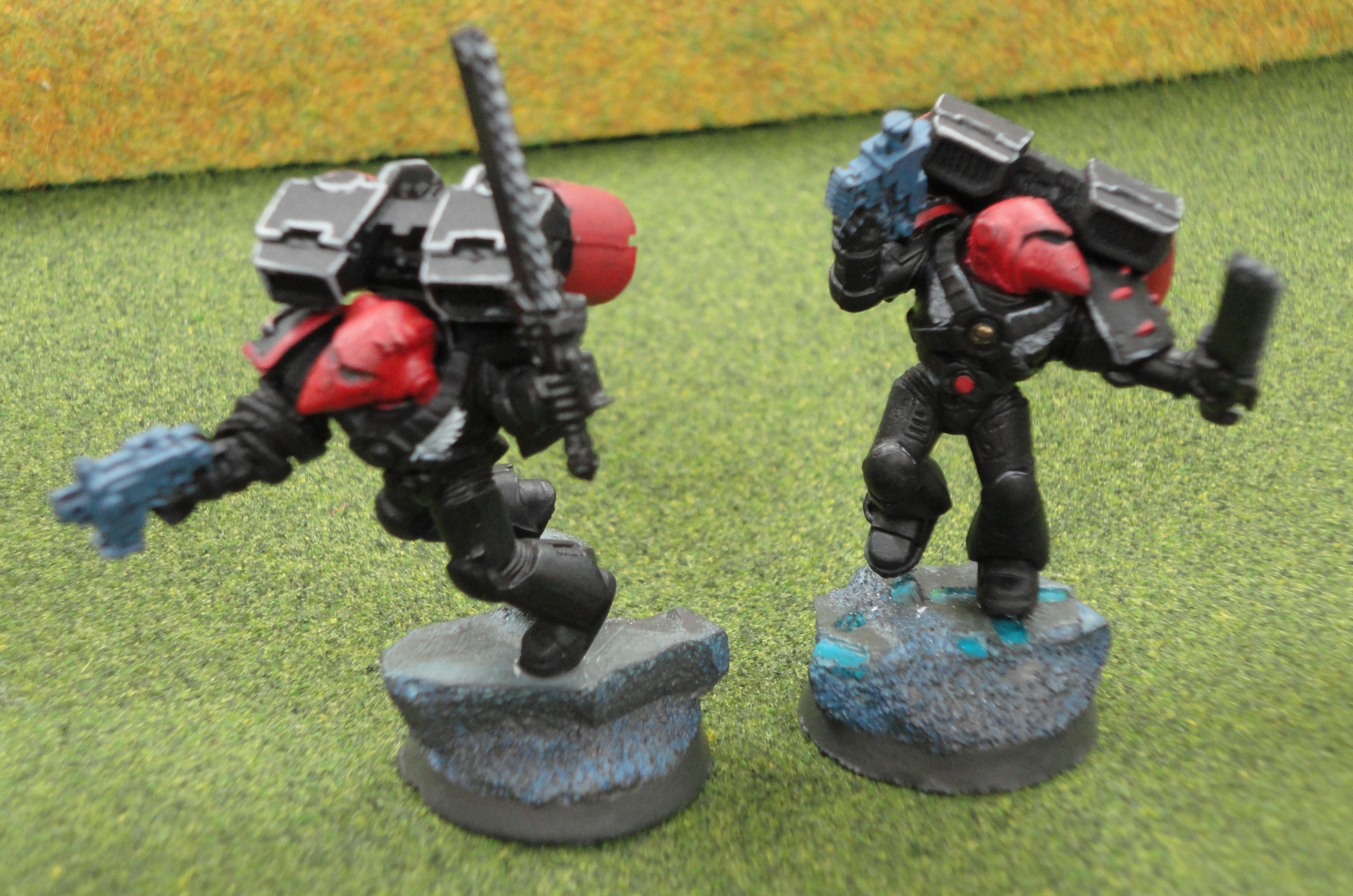 Raven Guard