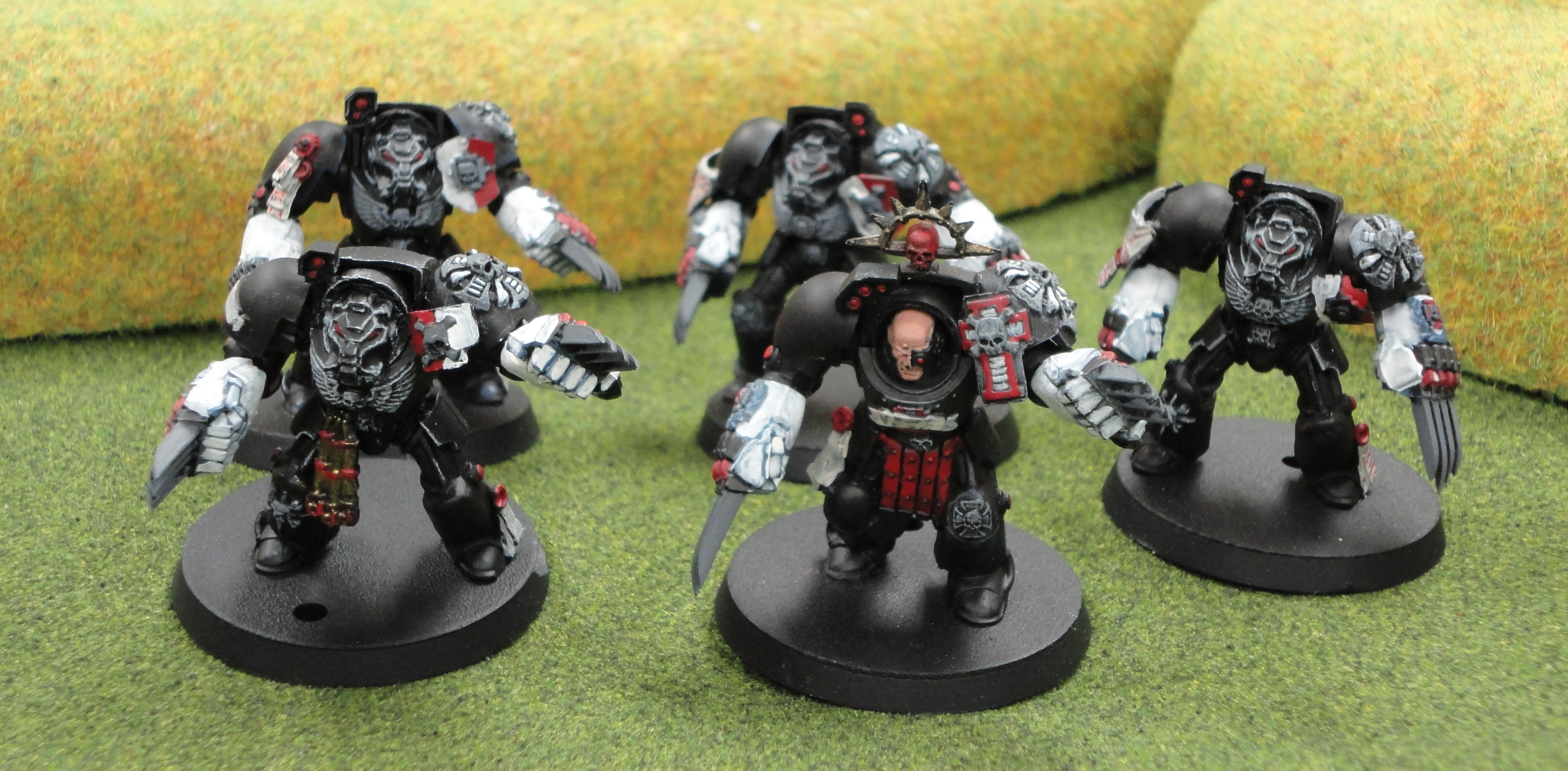 Raven Guard