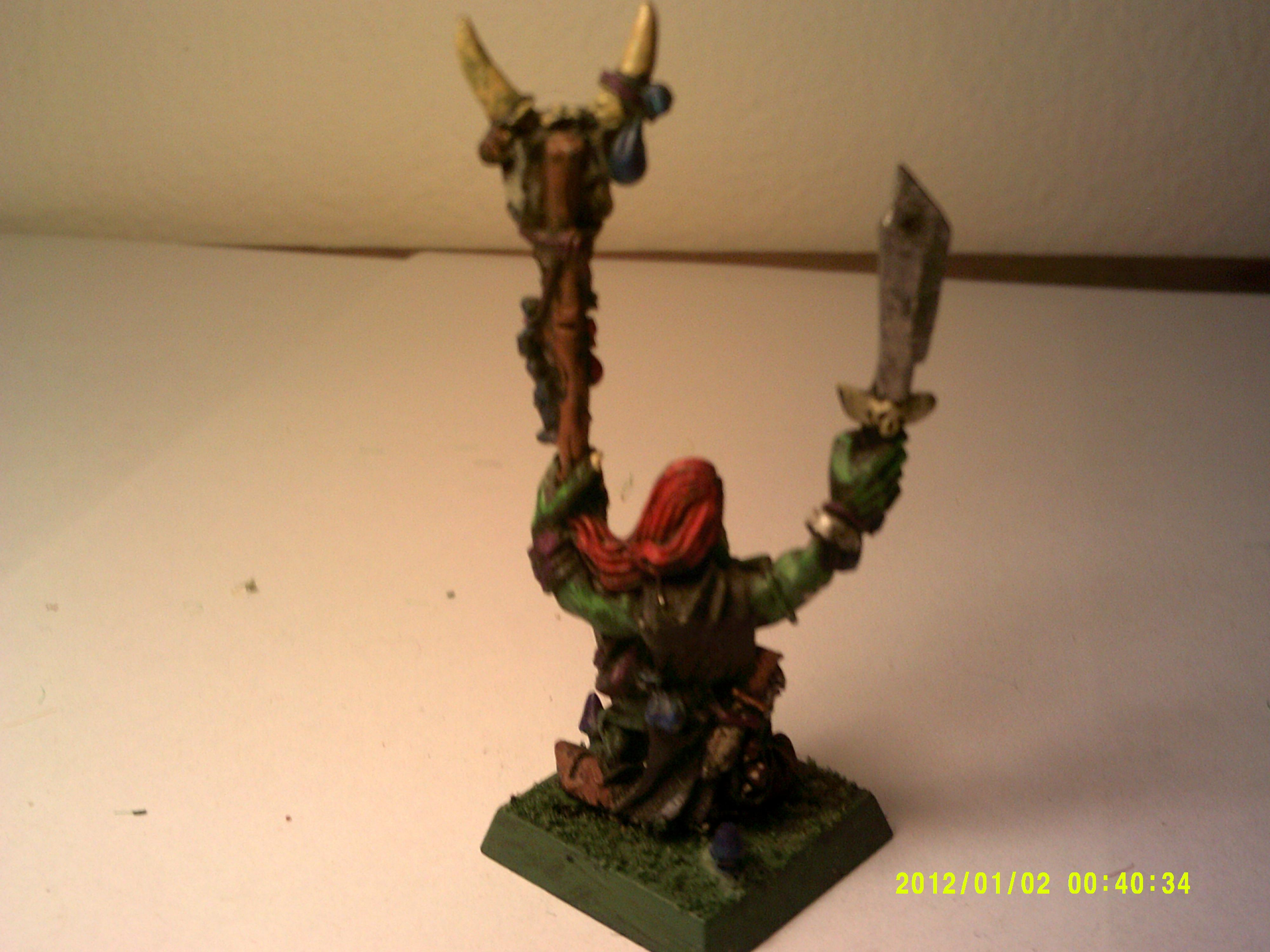Night Goblins, NG shaman 2