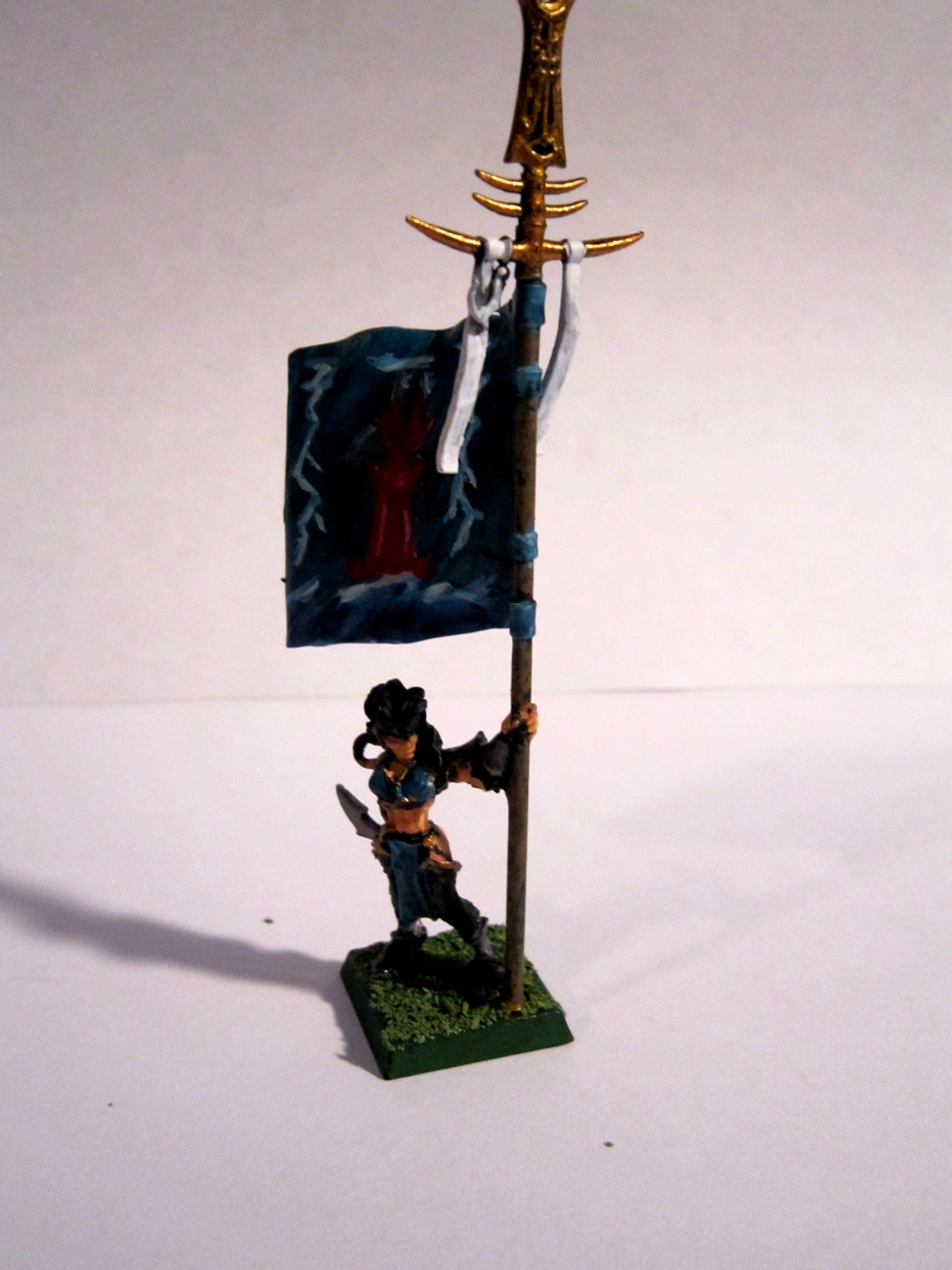 Dark Elves, Death Hag, Elves, Warhammer Fantasy