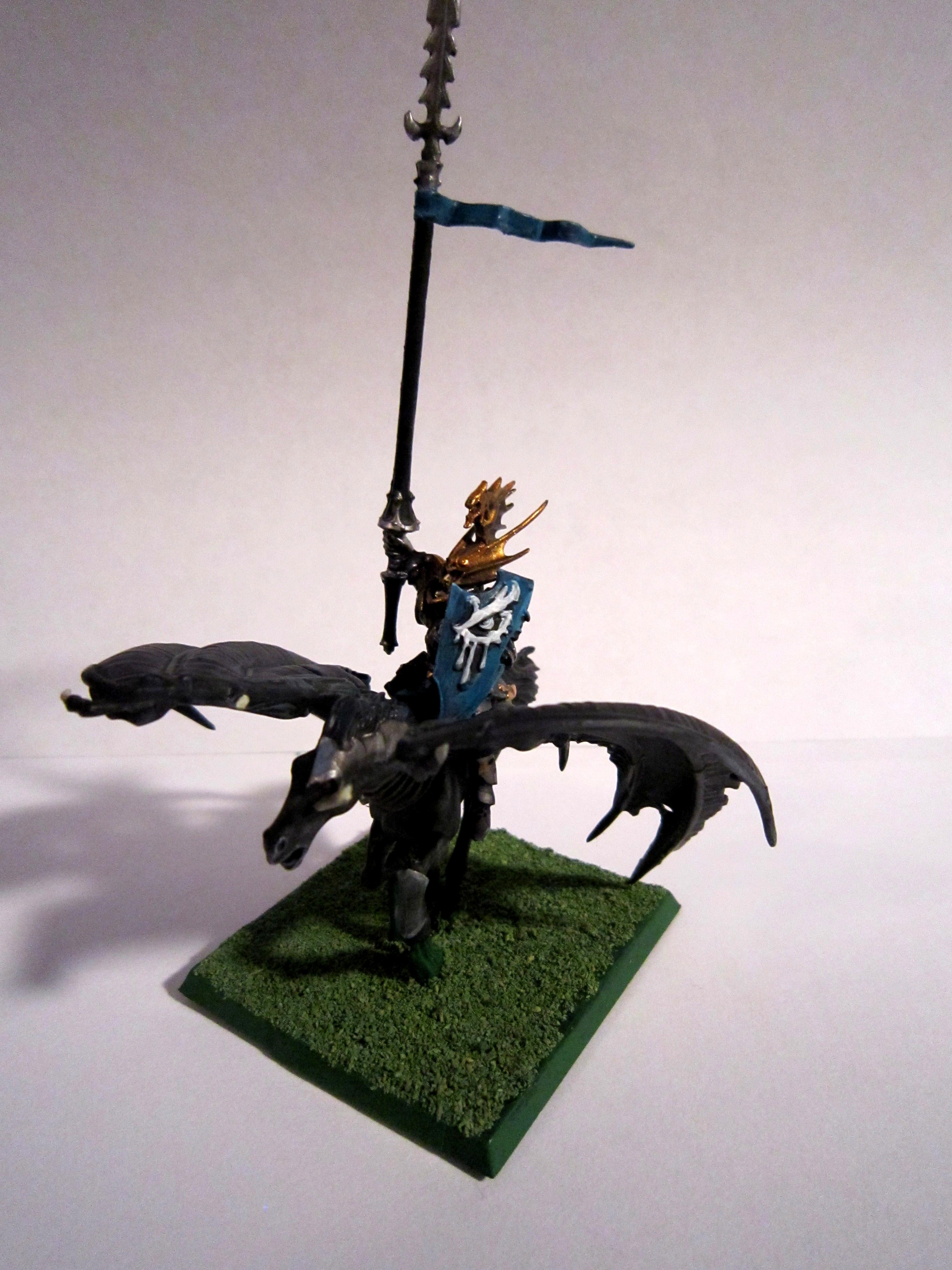 Conversion, Dark Elves, Dark Pegasus, Elves, Master, Warhammer Fantasy