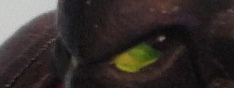 Green lenses